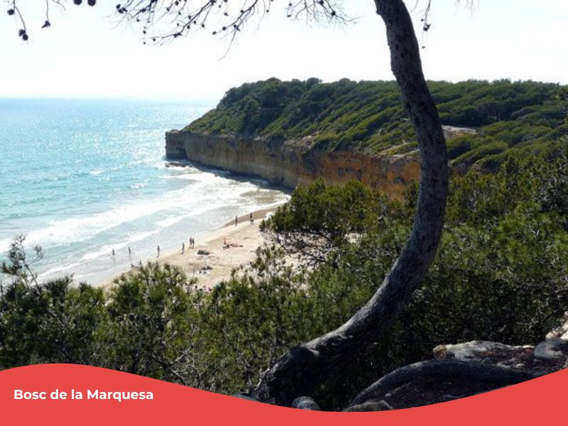 Las 10 mejores playas nudistas de Tarragona 4 Playa de la Marquesa