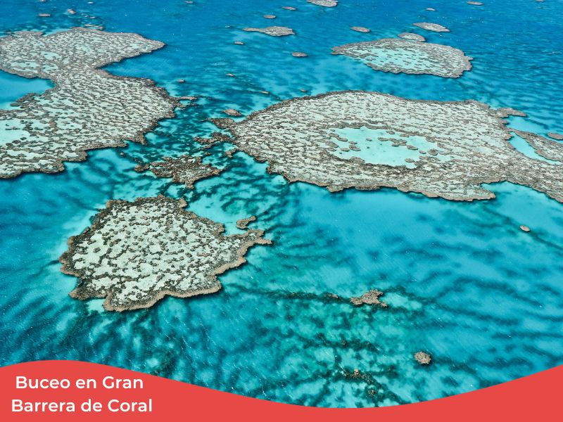 Los mejores viajes de buceo en los 5 continentes + España 10 Gran Barrera de Coral