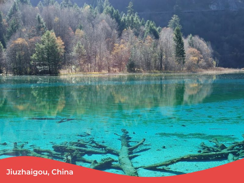 Vacaciones baratas en Agosto 6 Jiuzhaigou