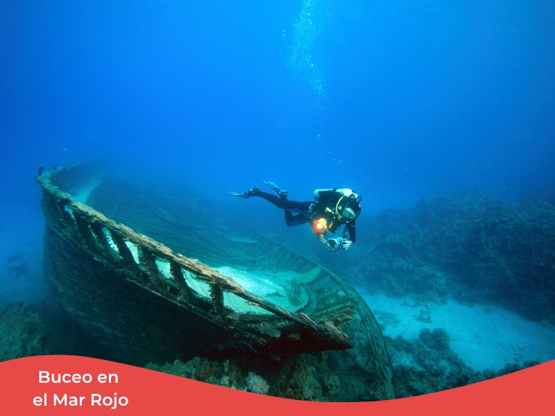 Los mejores viajes de buceo en los 5 continentes + España 8 Buceo en el Mar Rojo