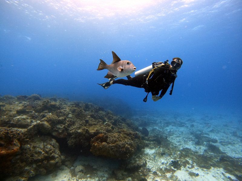 Mejores sitios para bucear en el mundo 12 Cozumel y buceo